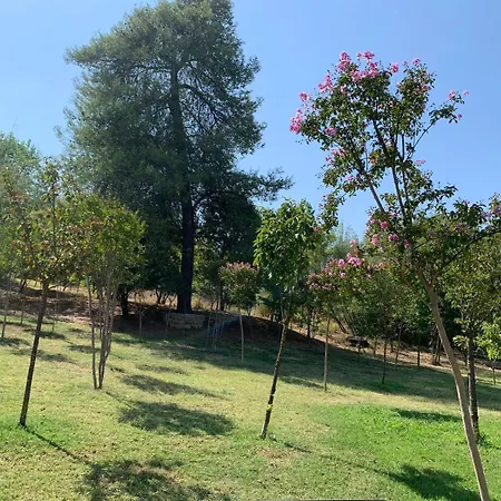 Διαμέρισμα Perla